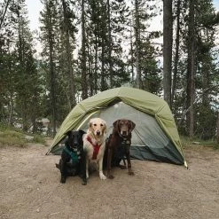 NEMO Dagger OSMO 2P Tent -Tents Sales 2023 b00254f7 4577 49af a604 c8428e1202da