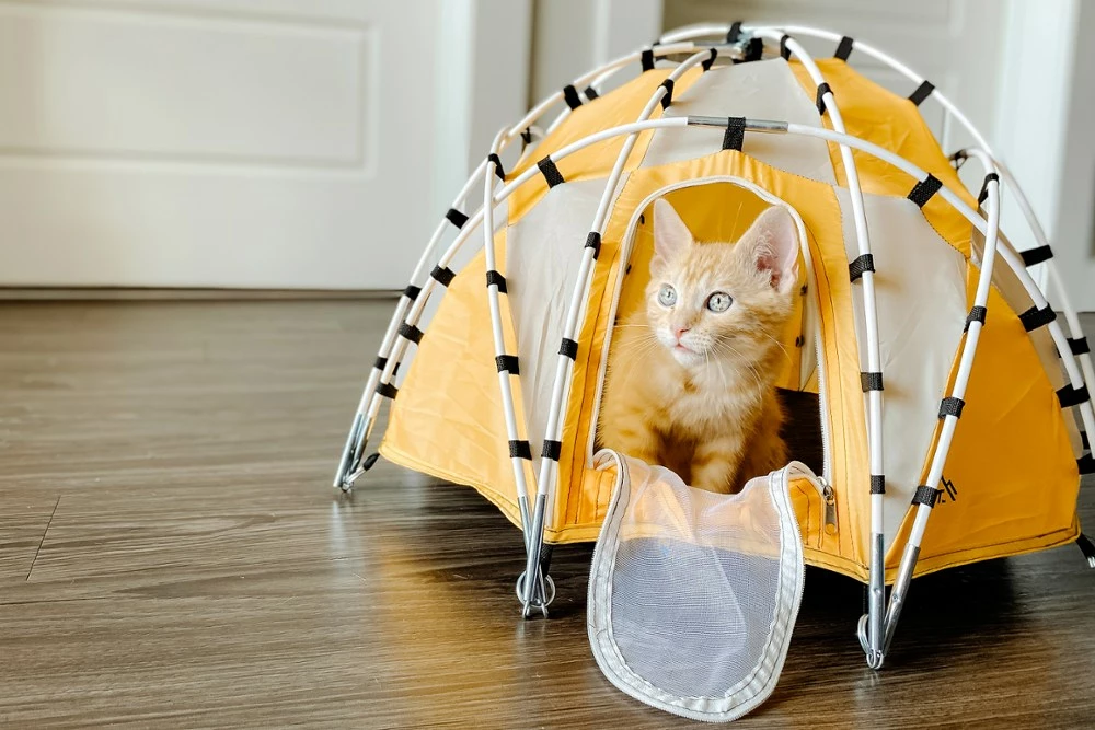 Tiny Tents Basecamp Dome Tent 8 Tiny Tents Basecamp Dome Tent - Image 6